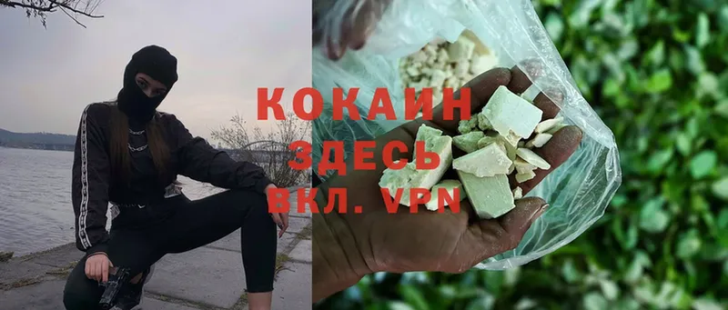 Cocaine FishScale  где можно купить наркотик  Уссурийск 